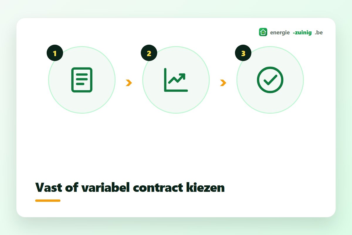 Vast of variabel energiecontract kiezen: factuur analyseren, prijzen vergelijken, contract kiezen
